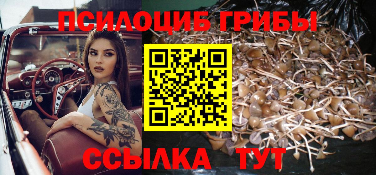 Галлюциногенные грибы мухоморы Урай