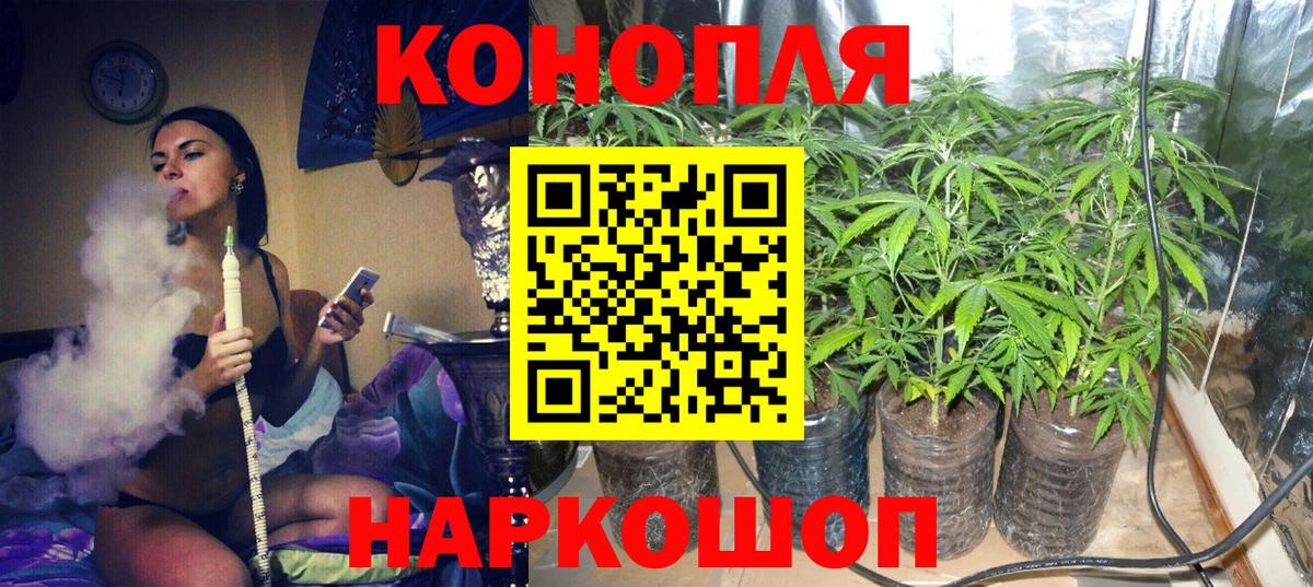 Каннабис SATIVA & INDICA Урай